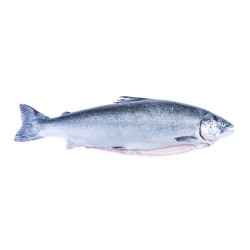 Kanika Frozen Atlantic Salmon Whole Fish Fillet Cut Boneless 4.5kg(+-)